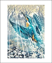 Kingfisher, Evening Rain by Martin Truefitt-Baker