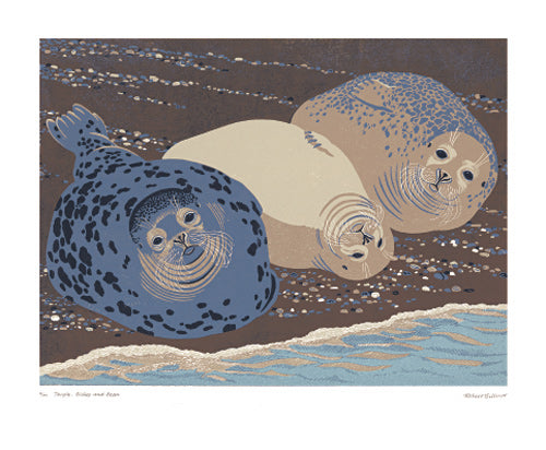 Grey Seals - Temple, Bishop & Bean by Robert Gillmor